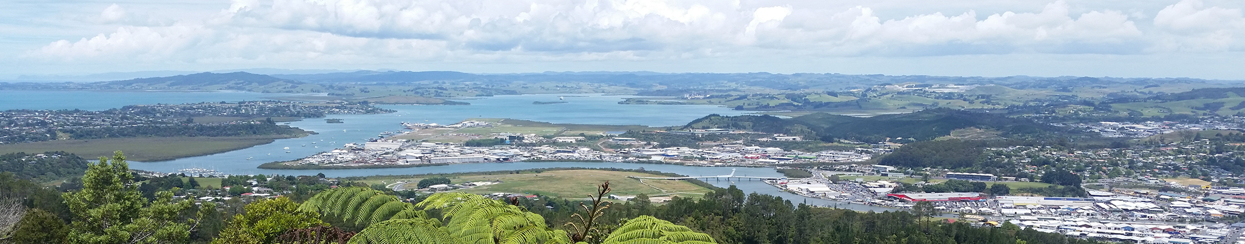 Alpha Antennas Whangarei